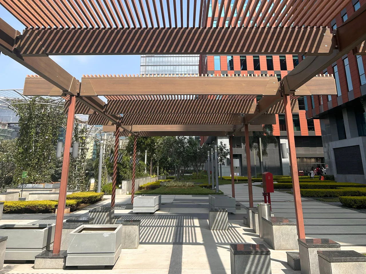 Modern timber pergola creating patterned shade over an outdoor courtyard